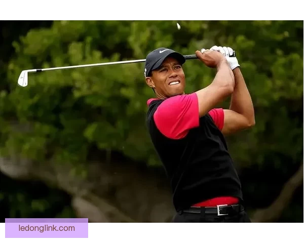 刹不住的泰格·伍兹与口袋里的两粒药丸背后的故事